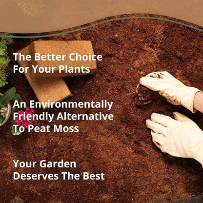 Stop Killing Your Plants With Bad Soil.