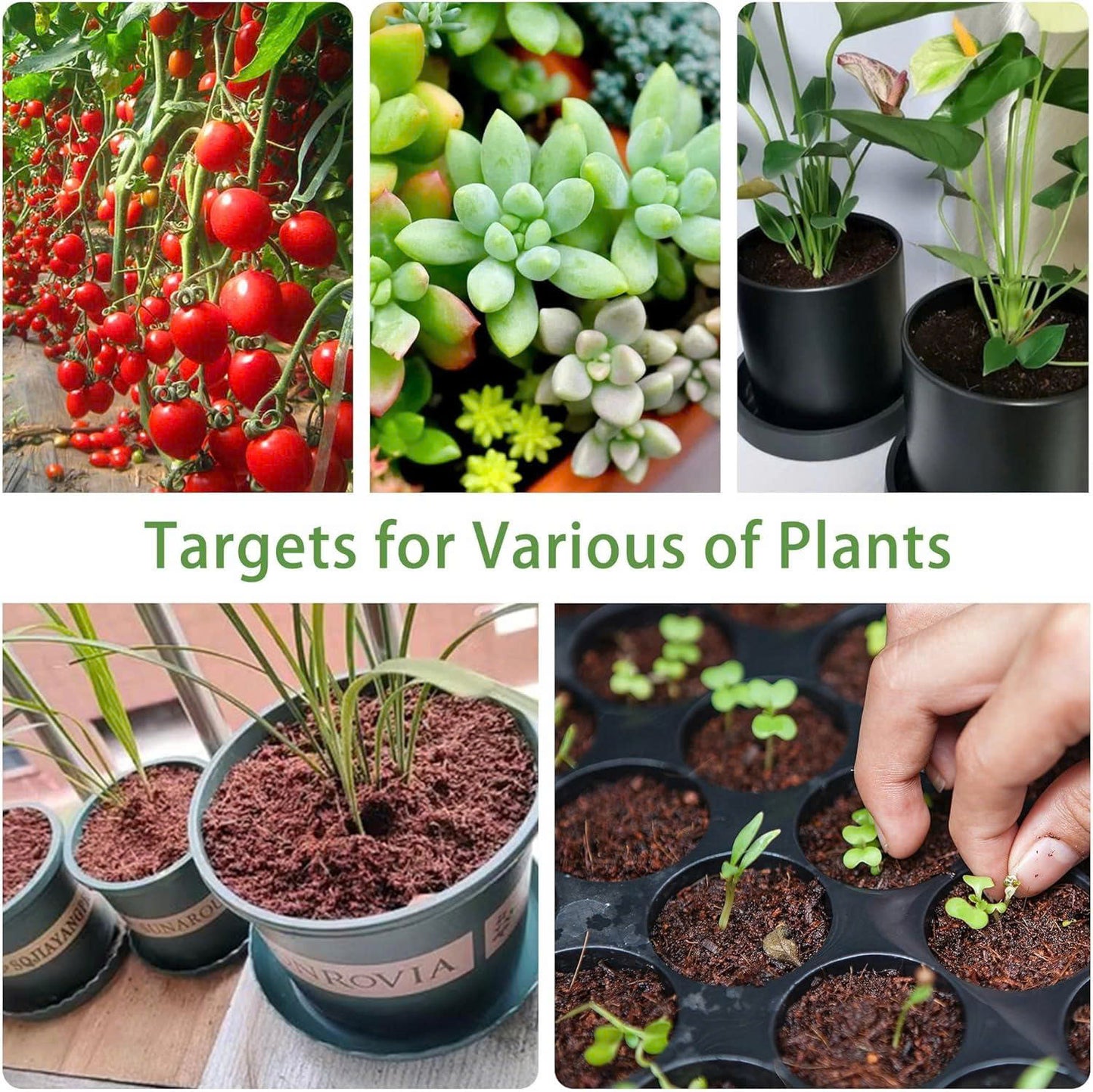 Stop Killing Your Plants With Bad Soil.