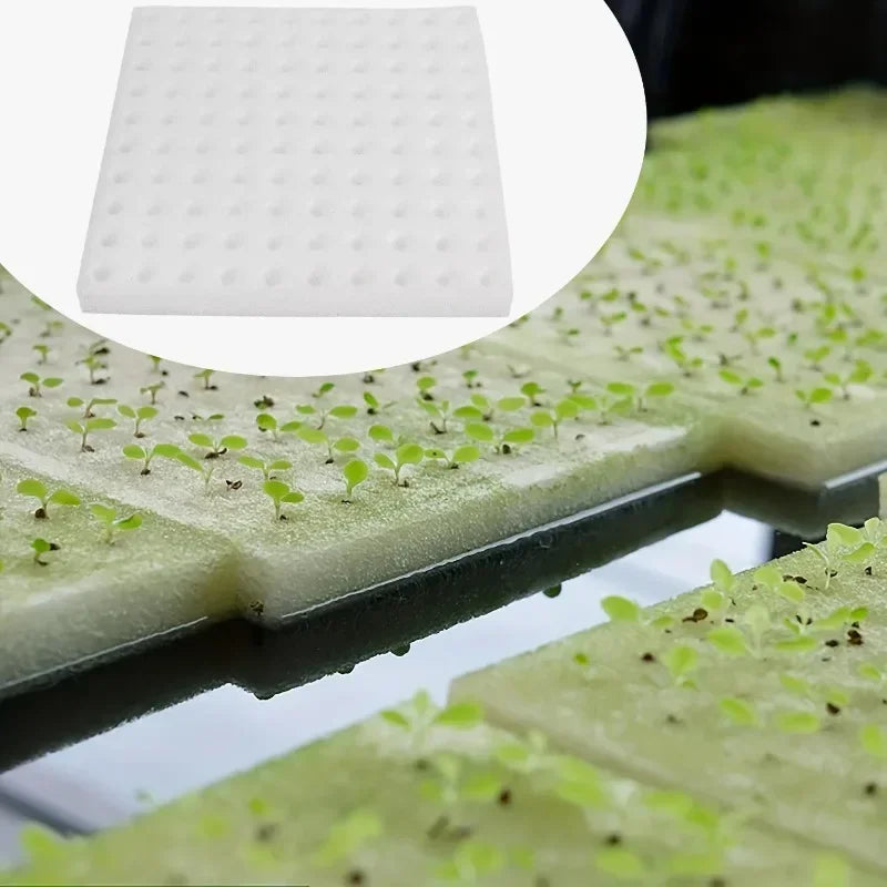 Hydroponic Sponge Planting Square Seedling Sponges Greenhouse Hydroponic Sponge Vegetable Planting Block for Small Bud Growth