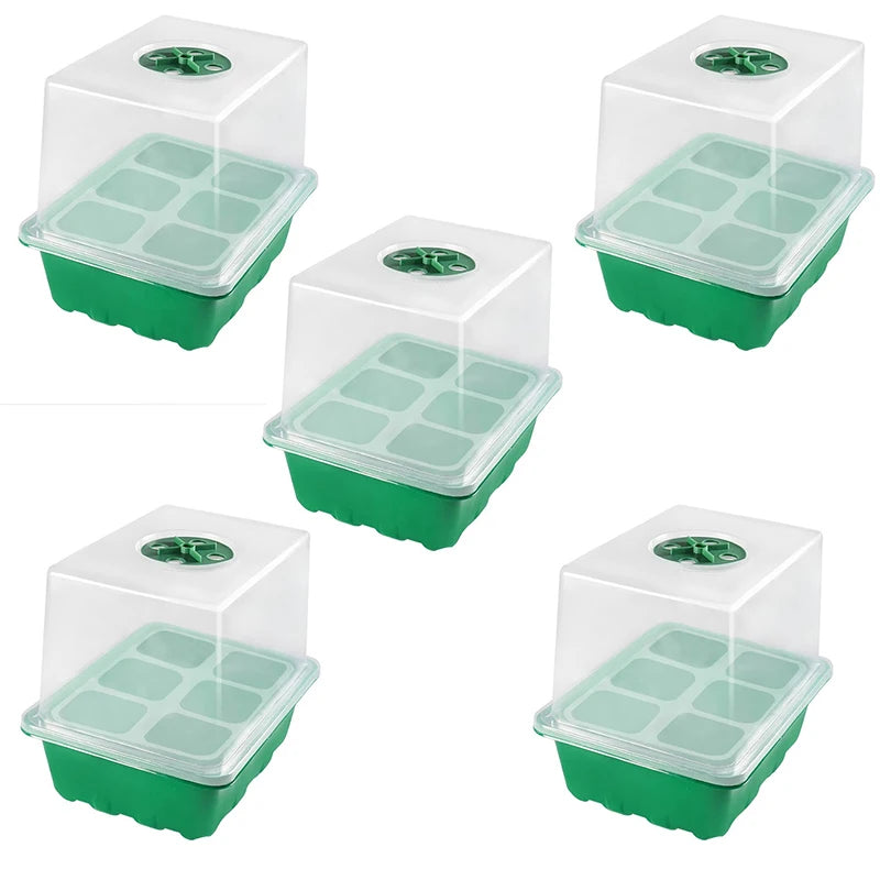 Heightened Three-Piece Set Seedling Box 6/12 Hole with Lid Succulent Vegetable Breeding Pot for Gardening And Plant Care
