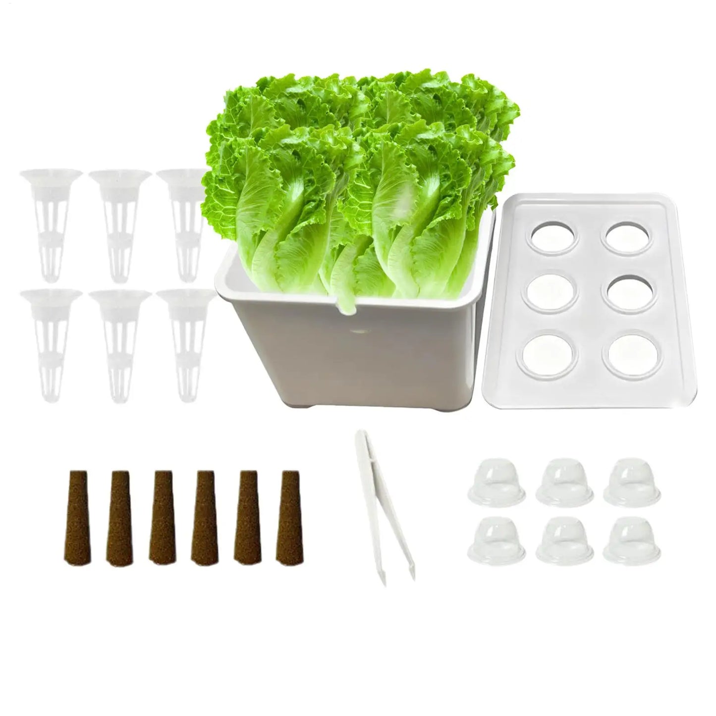 Indoor Hydroponic Planting Kit Complete Seedling Box for Growing Lettuce, Flowers on Balcony, in Apartments & Hotels