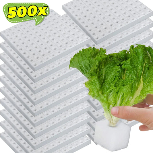 Hydroponic Sponge Planting Square Seedling Sponges Greenhouse Hydroponic Sponge Vegetable Planting Block for Small Bud Growth