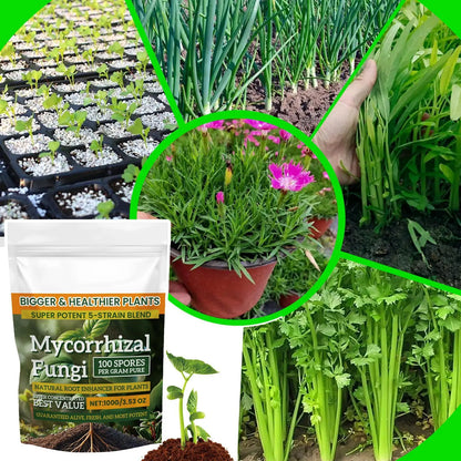 100g Plant Fertilizer Powder Plant Growth Nutrient Fertilizer Safe and Effective Rooting Supplement for Soil Culture Hydroponics