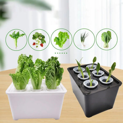 Indoor Hydroponic Planting Kit Complete Seedling Box for Growing Lettuce, Flowers on Balcony, in Apartments & Hotels