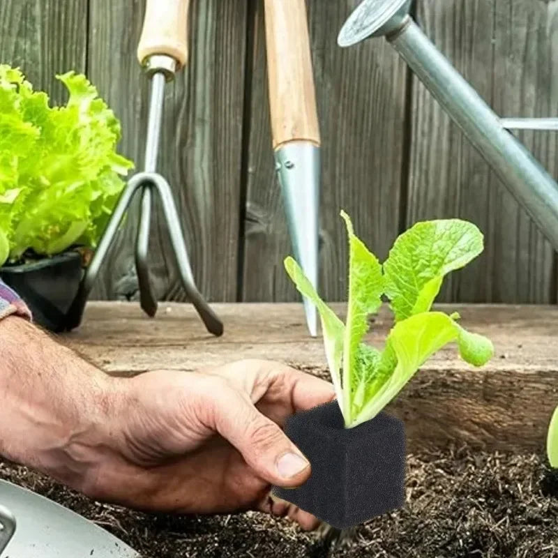 Hydroponic Sponge Planting Square Seedling Sponges Greenhouse Hydroponic Sponge Vegetable Planting Block for Small Bud Growth