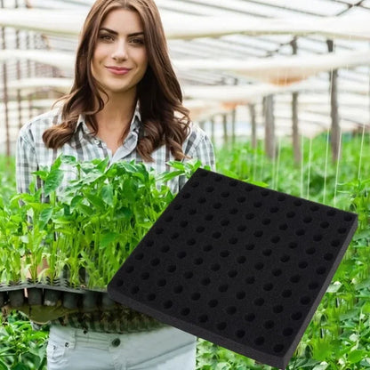 Hydroponic Sponge Planting Square Seedling Sponges Greenhouse Hydroponic Sponge Vegetable Planting Block for Small Bud Growth