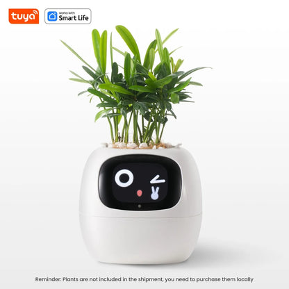 Ivy Tuya Smart Planter,Endless Fun Over 49 Rich Expressions,7 smart sensors,AI Chips Make Raising Plants Easy and Fun