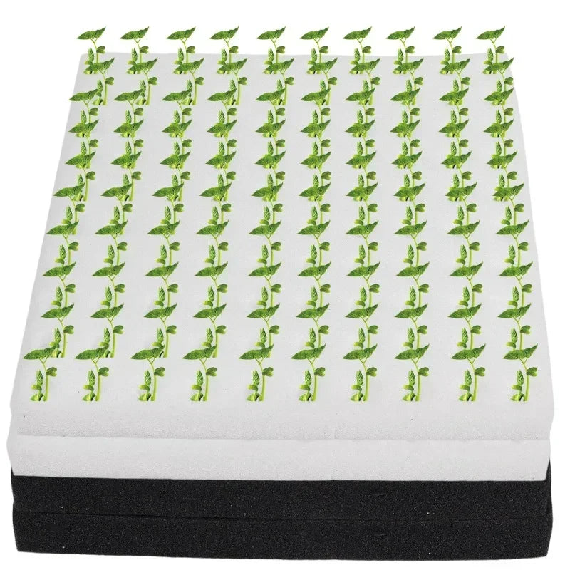 Hydroponic Sponge Planting Square Seedling Sponges Greenhouse Hydroponic Sponge Vegetable Planting Block for Small Bud Growth