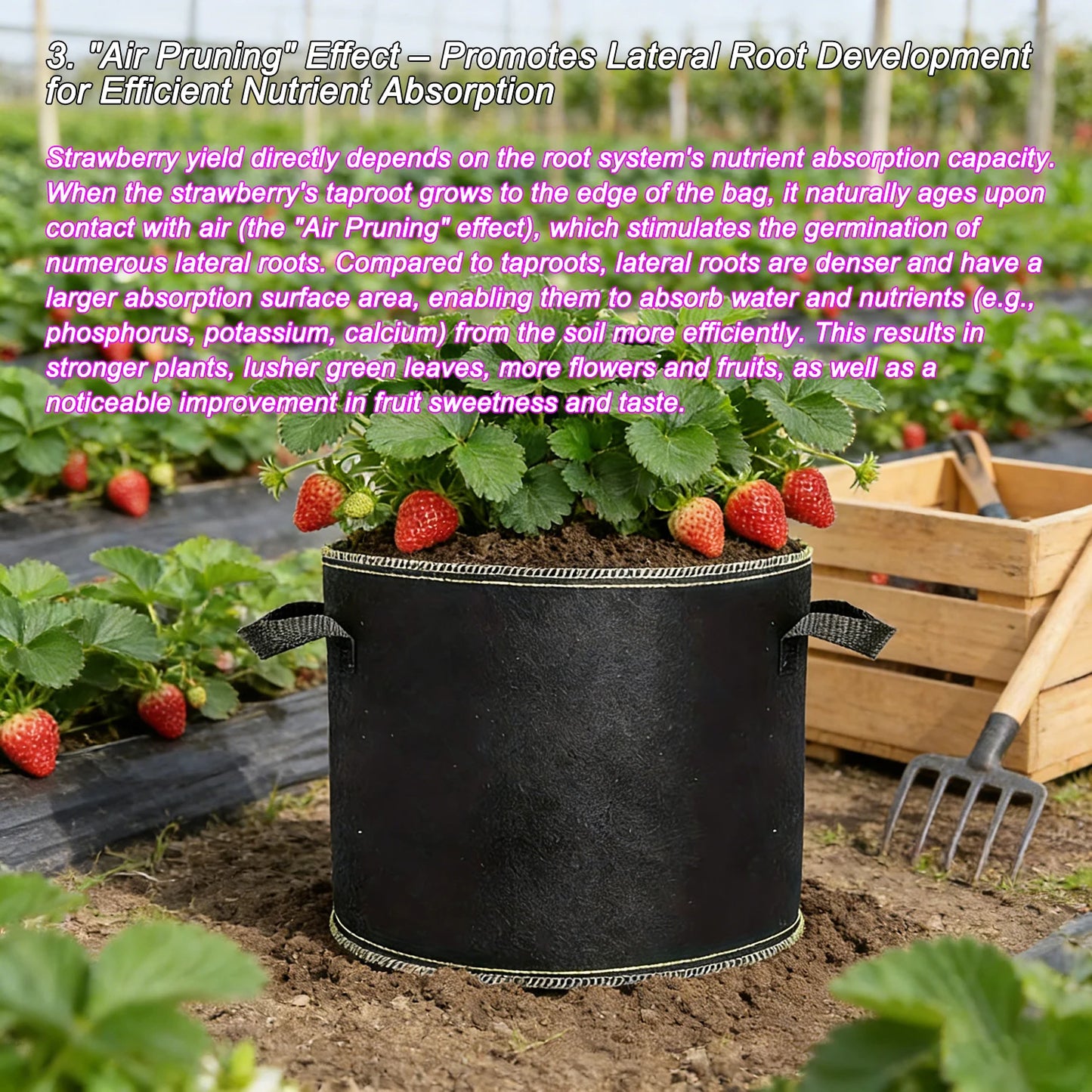 68 Pcs 3 Gallon Strawberry Grow Bags for Plants with Handles Garden Accessories Vegetable Plant Bags for Growing Flower Pot