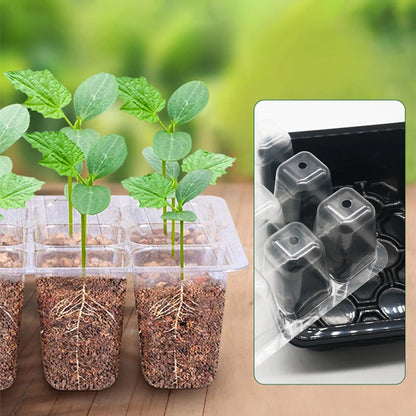 Heightened Three-Piece Set Seedling Box 6/12 Hole with Lid Succulent Vegetable Breeding Pot for Gardening And Plant Care