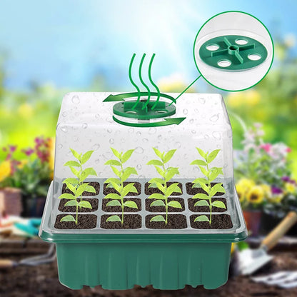 Heightened Three-Piece Set Seedling Box 6/12 Hole with Lid Succulent Vegetable Breeding Pot for Gardening And Plant Care