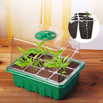 Heightened Three-Piece Set Seedling Box 6/12 Hole with Lid Succulent Vegetable Breeding Pot for Gardening And Plant Care