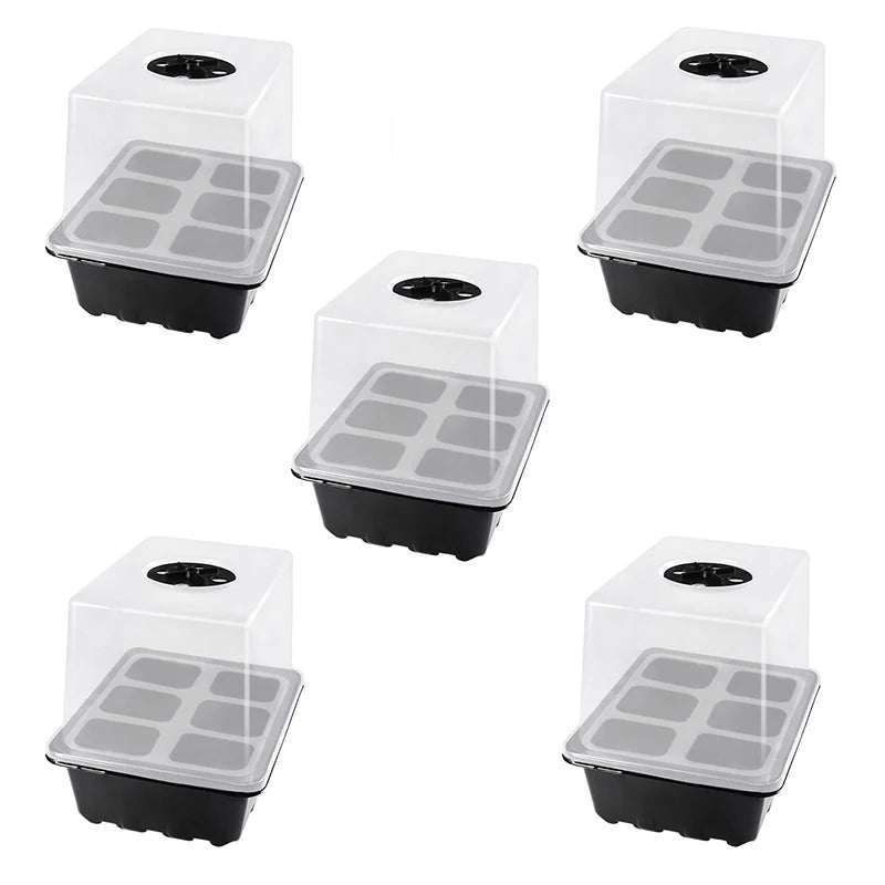 Heightened Three-Piece Set Seedling Box 6/12 Hole with Lid Succulent Vegetable Breeding Pot for Gardening And Plant Care