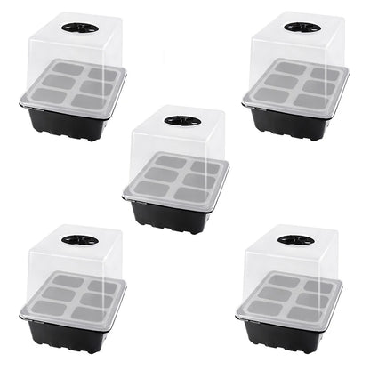 Heightened Three-Piece Set Seedling Box 6/12 Hole with Lid Succulent Vegetable Breeding Pot for Gardening And Plant Care