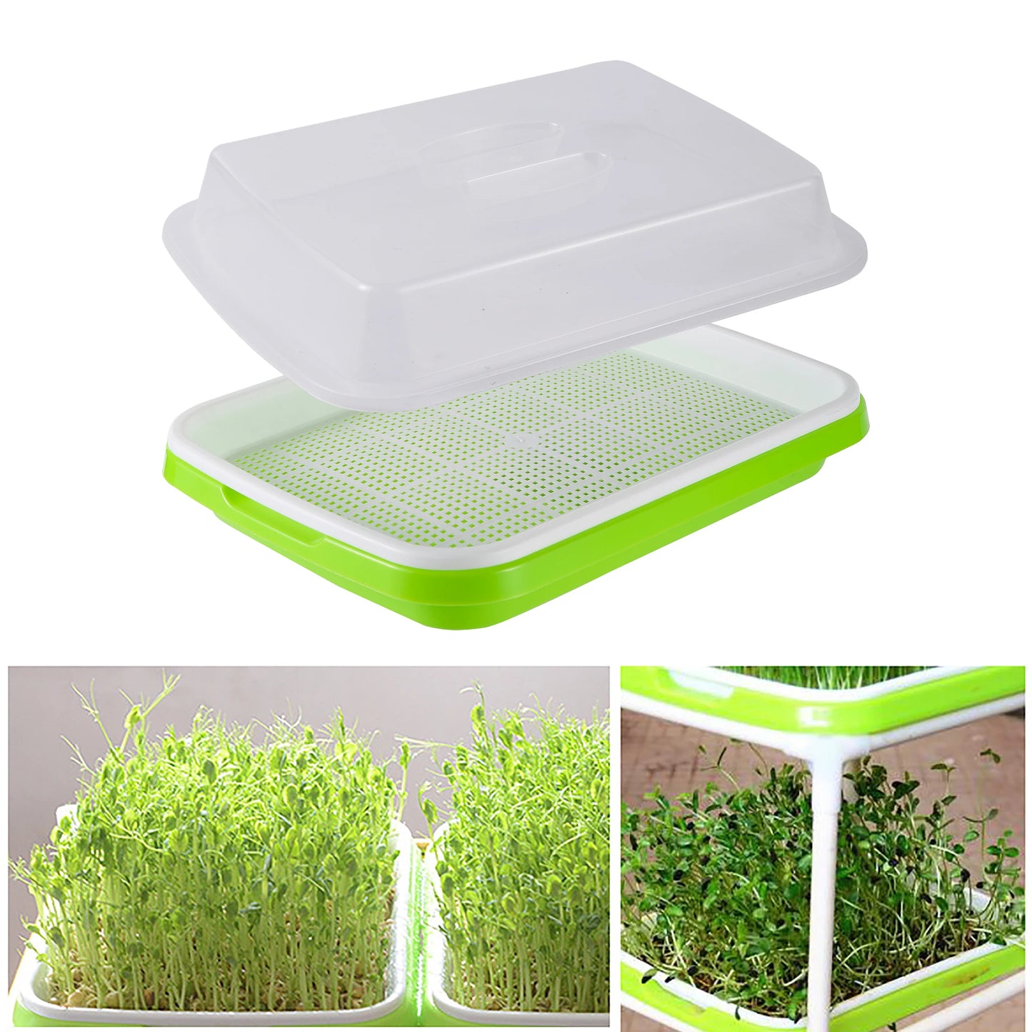Germination Tray Tray Seed Germination Tray Seedling Tray Wheatgrass Seed Planting Soilless Cultivation Planting Pot