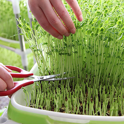 Germination Tray Tray Seed Germination Tray Seedling Tray Wheatgrass Seed Planting Soilless Cultivation Planting Pot