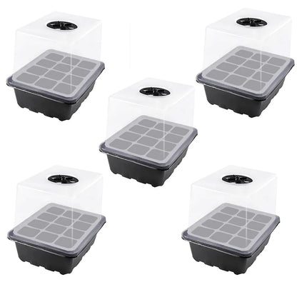 Heightened Three-Piece Set Seedling Box 6/12 Hole with Lid Succulent Vegetable Breeding Pot for Gardening And Plant Care