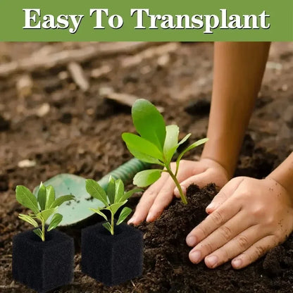 Hydroponic Sponge Planting Square Seedling Sponges Greenhouse Hydroponic Sponge Vegetable Planting Block for Small Bud Growth