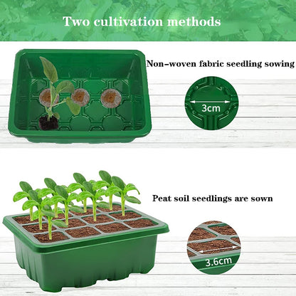 Heightened Three-Piece Set Seedling Box 6/12 Hole with Lid Succulent Vegetable Breeding Pot for Gardening And Plant Care