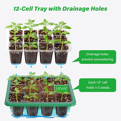 Seed Starter Kit with Adjustable Humidity Dome and Base Indoor Greenhouse Mini Propagator Seeds Growing Starting Nursery Trays