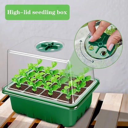 Heightened Three-Piece Set Seedling Box 6/12 Hole with Lid Succulent Vegetable Breeding Pot for Gardening And Plant Care