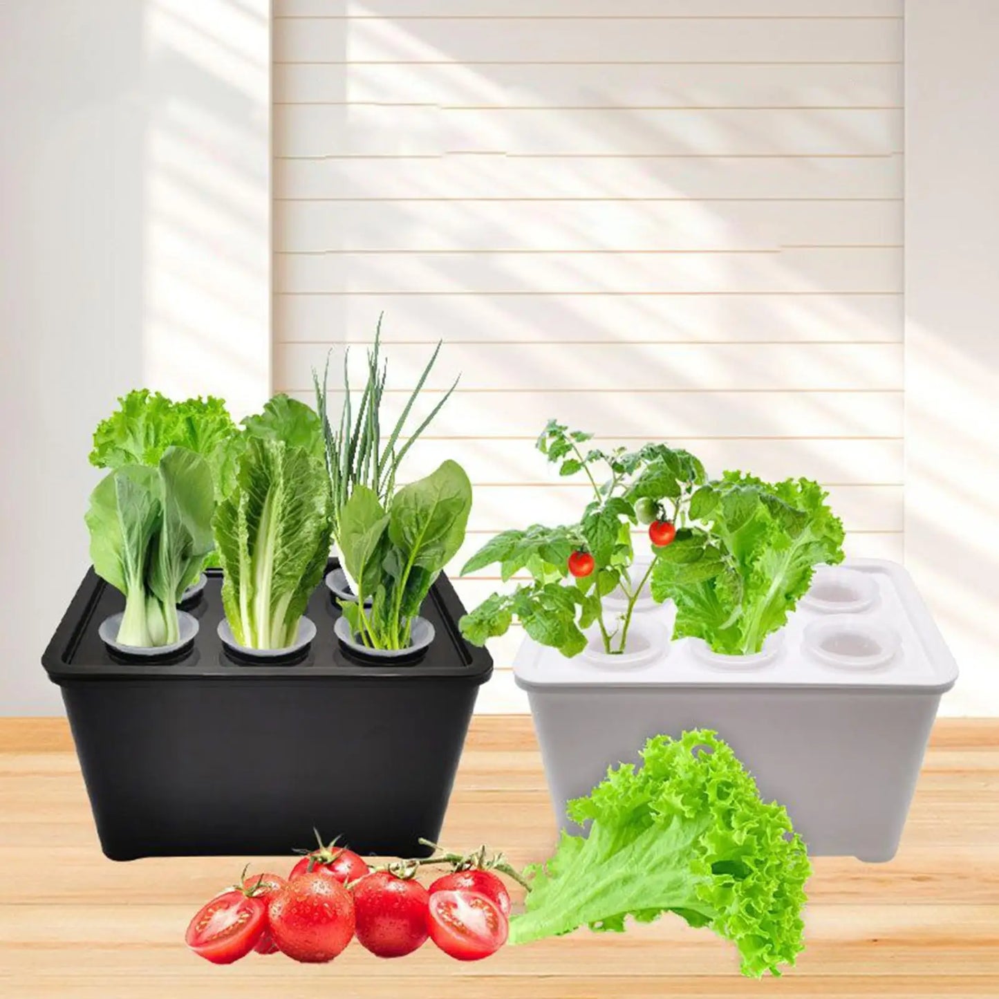 Indoor Hydroponic Planting Kit Complete Seedling Box for Growing Lettuce, Flowers on Balcony, in Apartments & Hotels