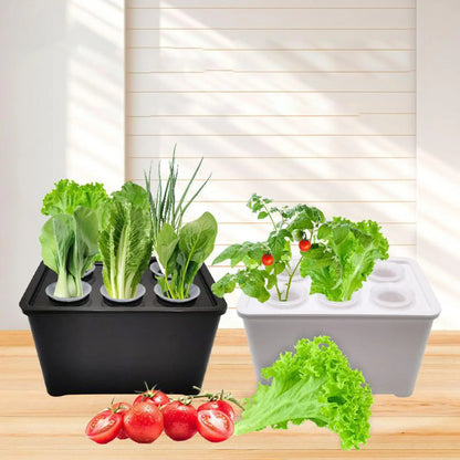 Indoor Hydroponic Planting Kit Complete Seedling Box for Growing Lettuce, Flowers on Balcony, in Apartments & Hotels