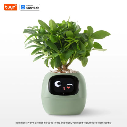 Ivy Tuya Smart Planter,Endless Fun Over 49 Rich Expressions,7 smart sensors,AI Chips Make Raising Plants Easy and Fun