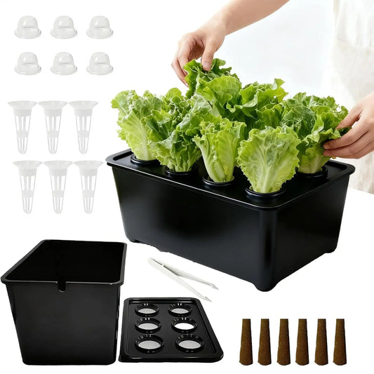 Indoor Hydroponic Planting Kit Complete Seedling Box for Growing Lettuce, Flowers on Balcony, in Apartments & Hotels
