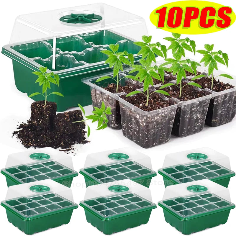 Seed Starter Kit with Adjustable Humidity Dome and Base Indoor Greenhouse Mini Propagator Seeds Growing Starting Nursery Trays