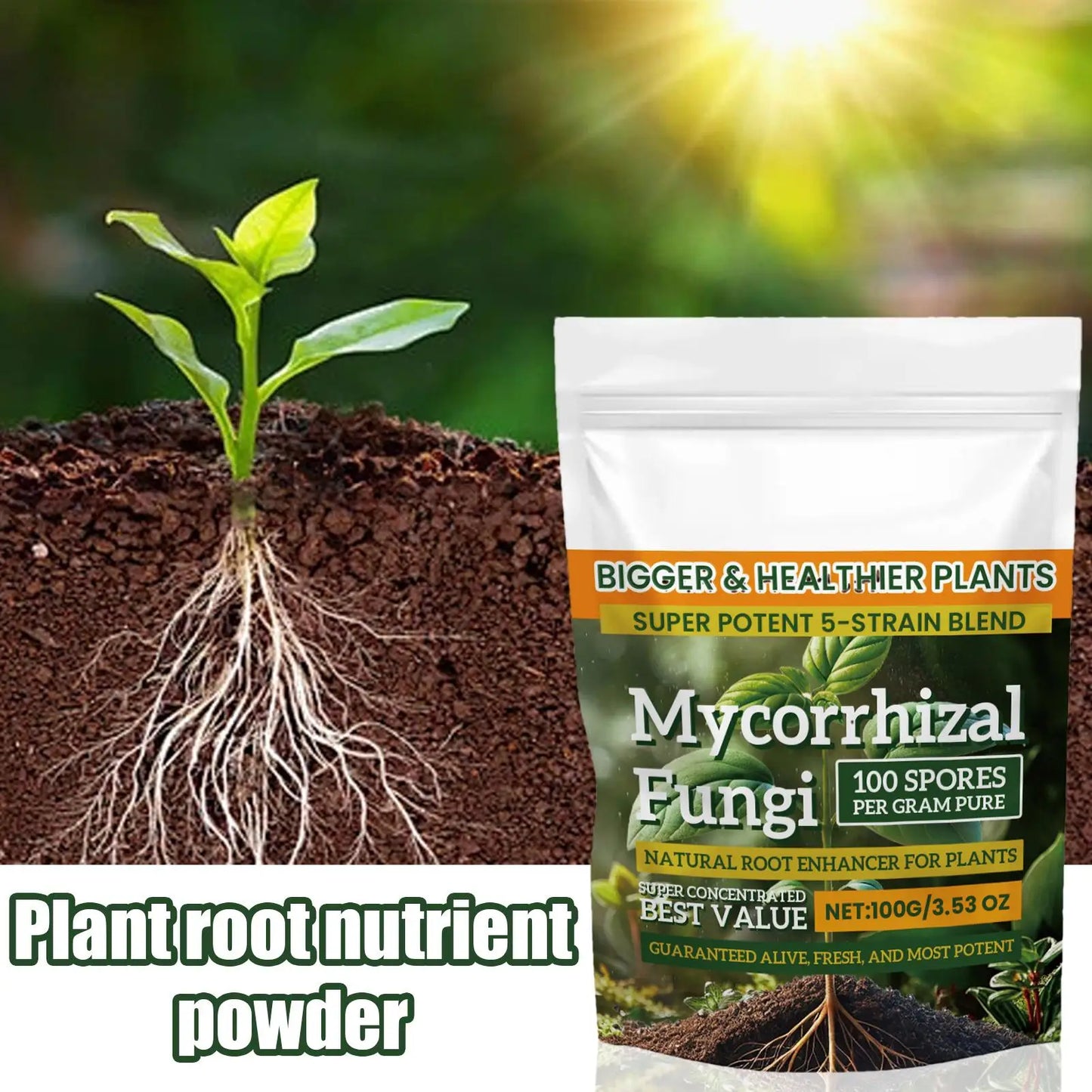 100g Plant Fertilizer Powder Plant Growth Nutrient Fertilizer Safe and Effective Rooting Supplement for Soil Culture Hydroponics