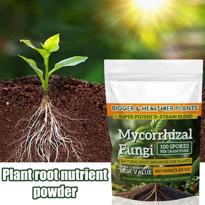 100g Plant Fertilizer Powder Plant Growth Nutrient Fertilizer Safe and Effective Rooting Supplement for Soil Culture Hydroponics