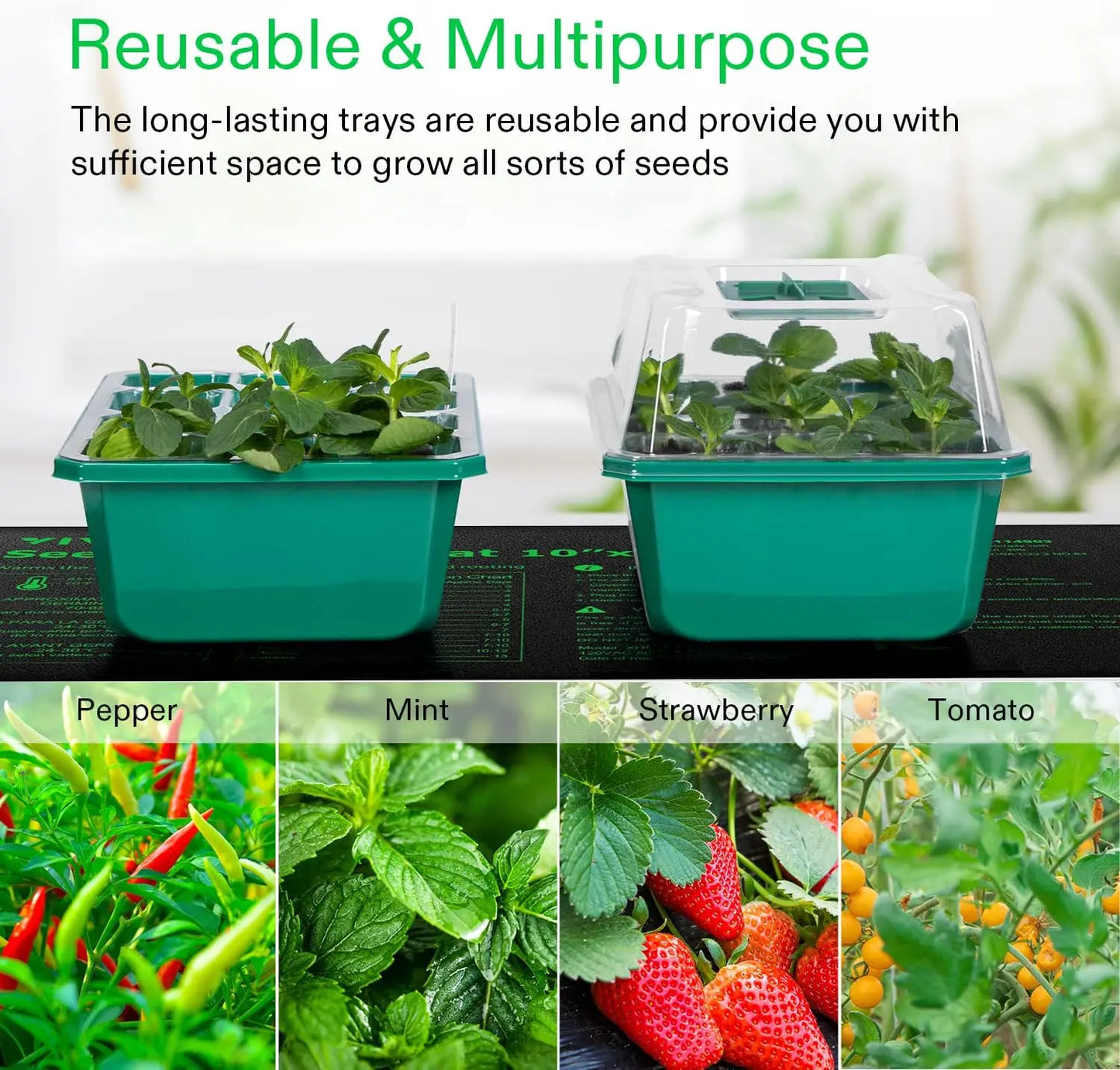 Seed Starter Kit with Adjustable Humidity Dome and Base Indoor Greenhouse Mini Propagator Seeds Growing Starting Nursery Trays